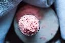 dr-raspberry-spa-9-.webp
