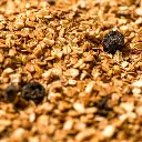 480_ze-sadu-detail.webp